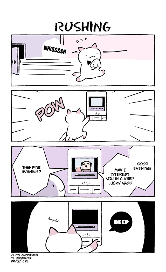 Wonder Cat Kyuu-chan Chapter 781 1